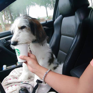 Fundraising Page: Christie Stevens